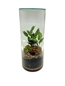 Tropic Pebbled Terrarium