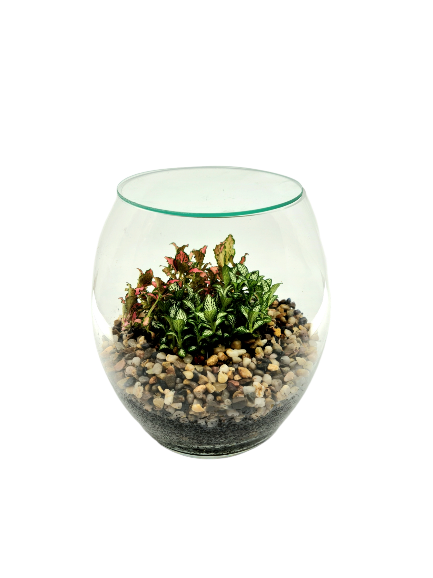 Micro Pebbled Terrarium