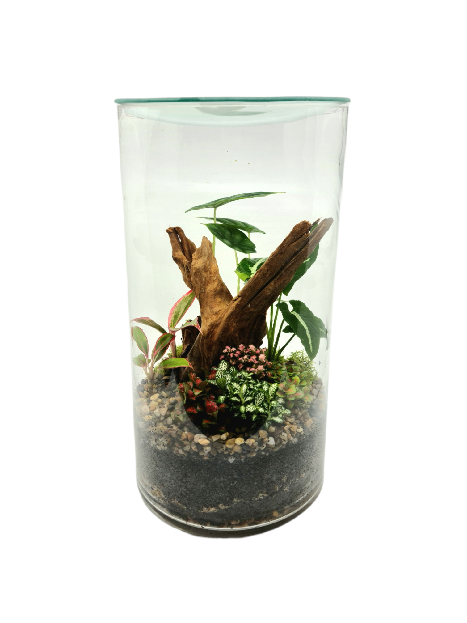 Terra Platinum Terrarium