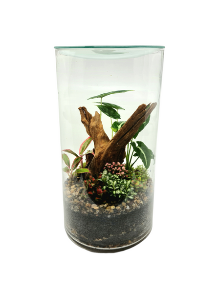 Terra Platinum Terrarium